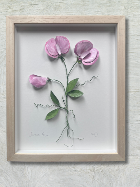 Fiona McDougall, 'Brass Painted Sweet-pea' 2025