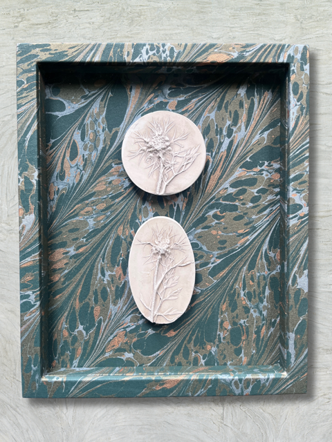 Fiona McDougall, 'Seabuckthorn' 2025