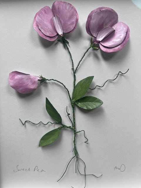 Fiona McDougall, 'Brass Painted Sweet-pea' 2025