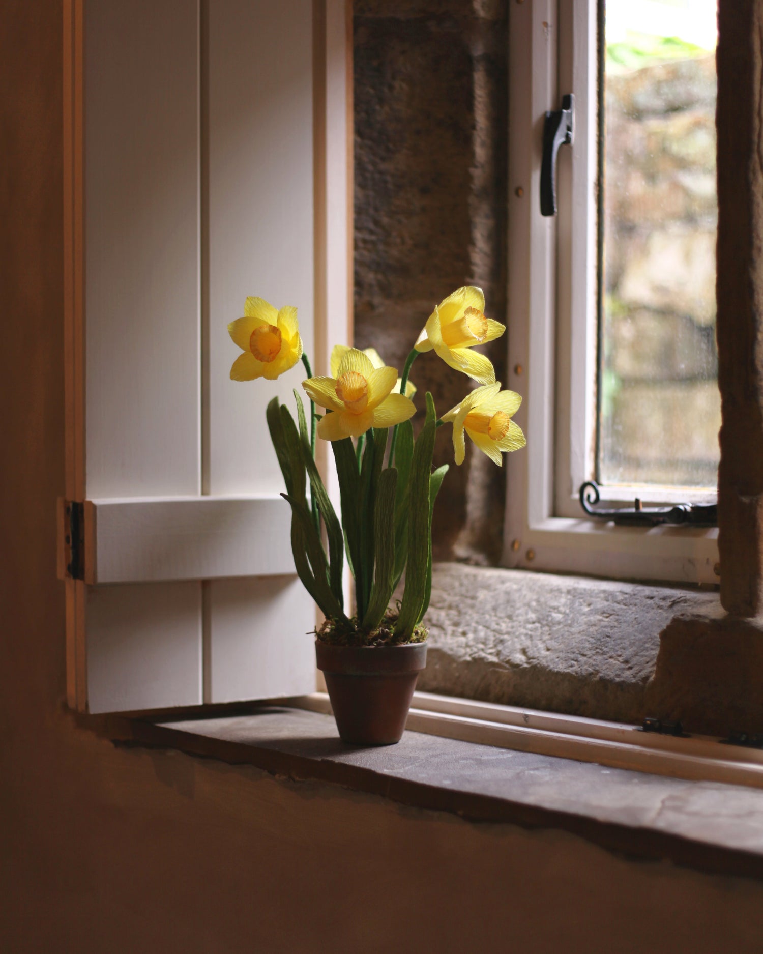 Blooms by Beam