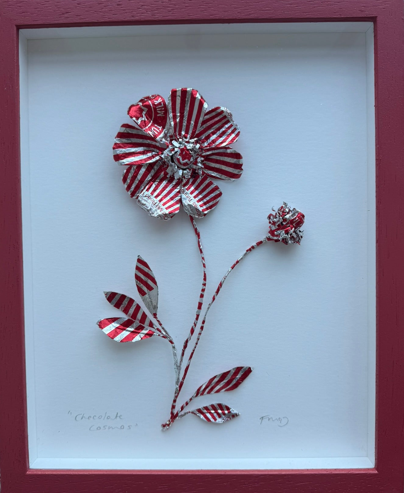 Fiona McDougall, 'Chocolate Cosmos II' 2025