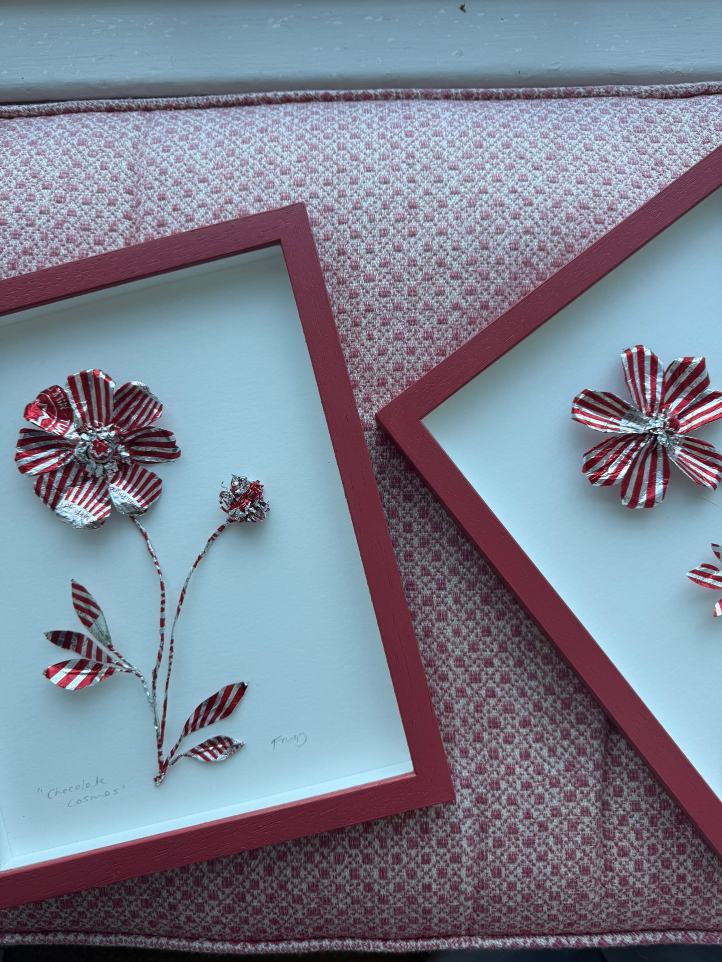 Fiona McDougall, 'Chocolate Cosmos II' 2025