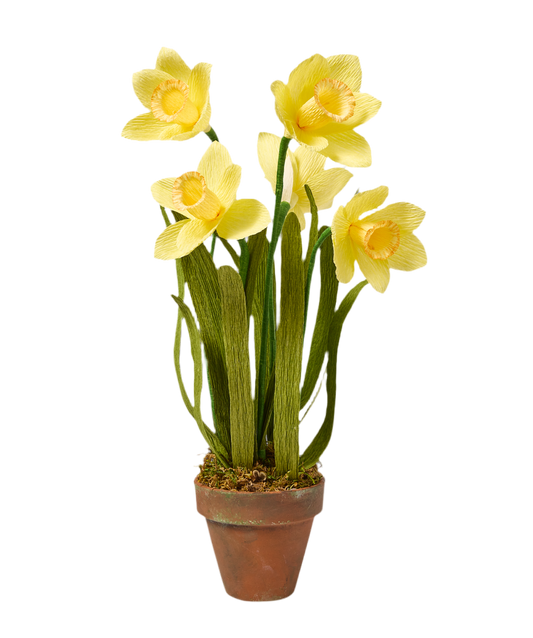 Blooms by Beam Paper Daffodils