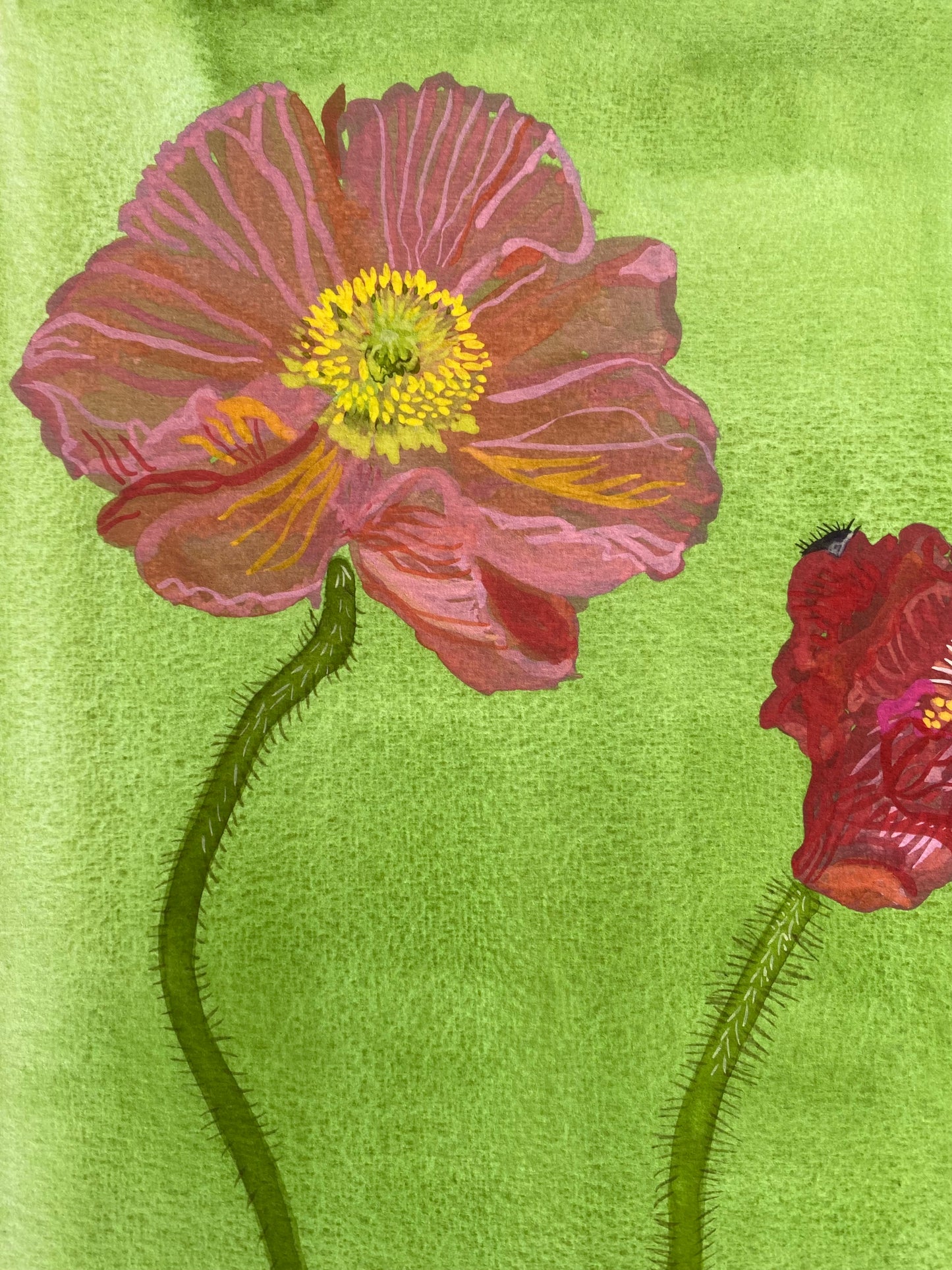 Lucy Wayne, ‘Green Poppy 2’