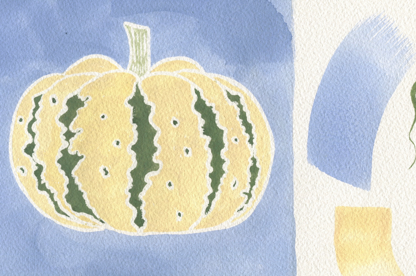 Rosalia Dols, 'Winter Squash Colour Test’ 2024