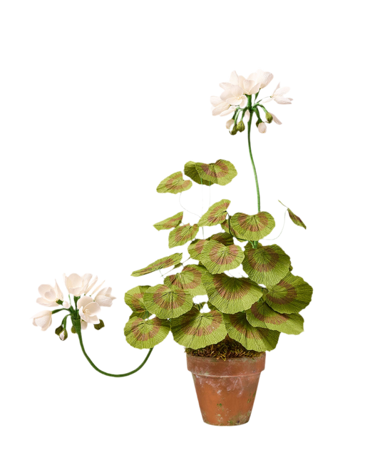 Blooms by Beam Standard White Paper Flower Geranium