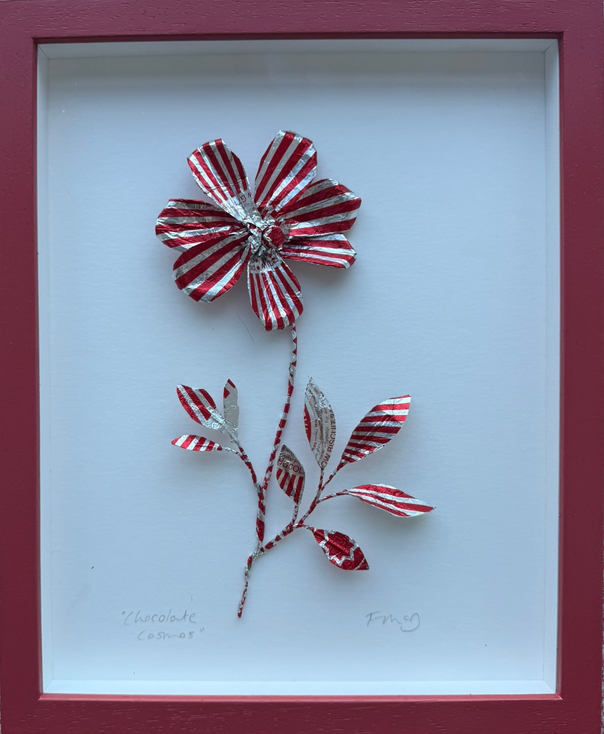 Fiona McDougall, 'Chocolate Cosmos I' 2025