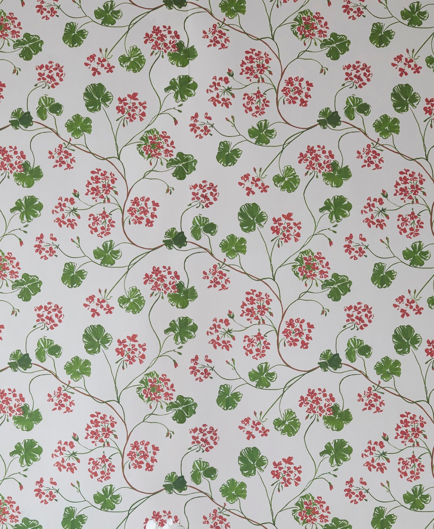 Sophie Harpley, 'Geraniums Wallpaper'