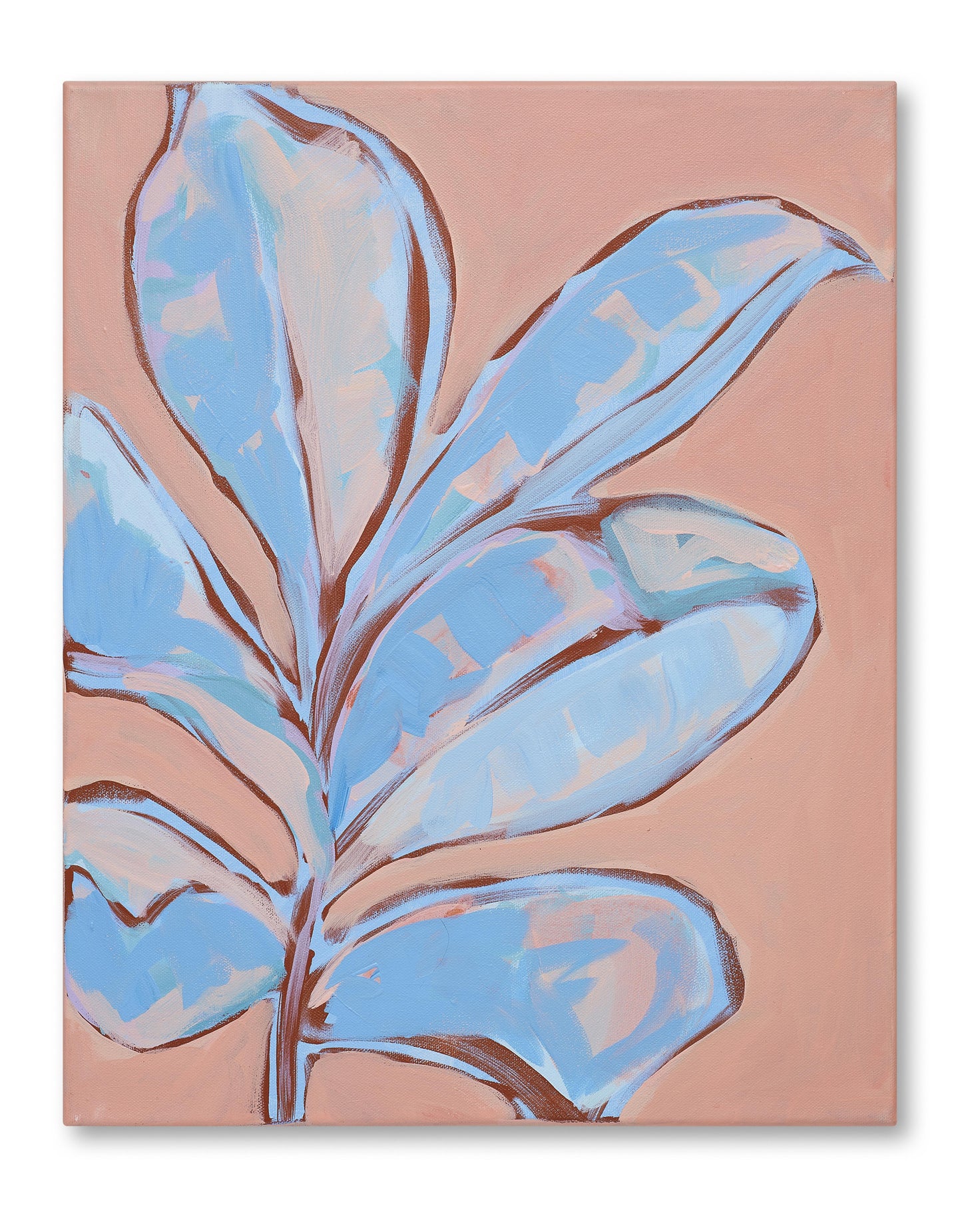 Sian Beck, 'Blue Rubber Plant on Pink' 2024