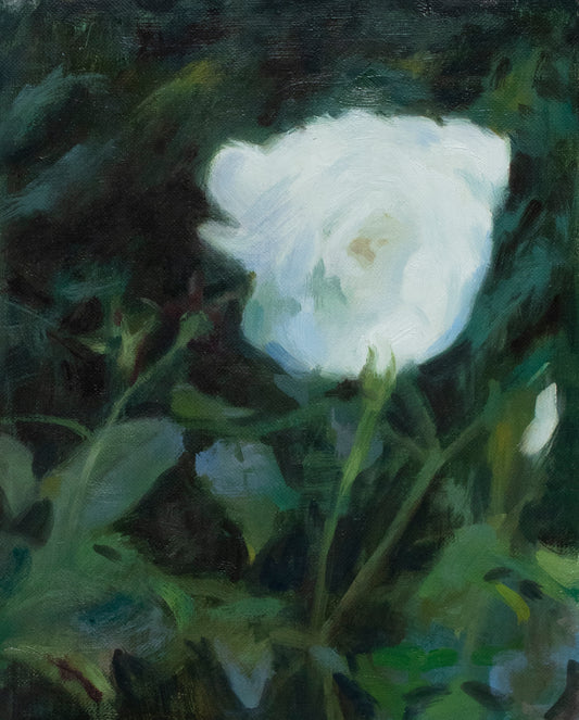 Toby Michael, 'An English Rose' 2022