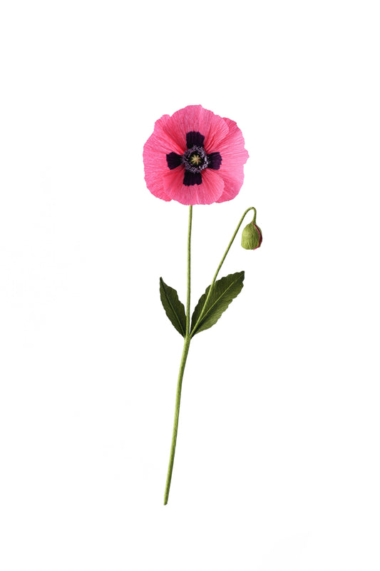 A Petal Unfolds, 'Paper Oriental Poppy Flower'