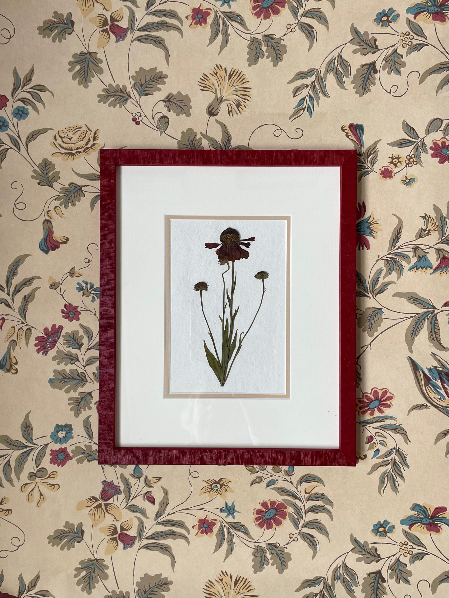 Clove at Home, ‘English Garden Pressings in Red 2’ 2024