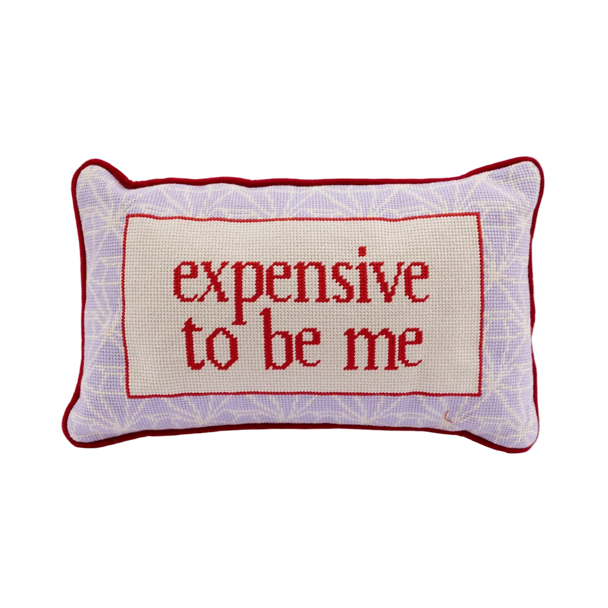 Expensive To Be Me Needlepoint Pillow
