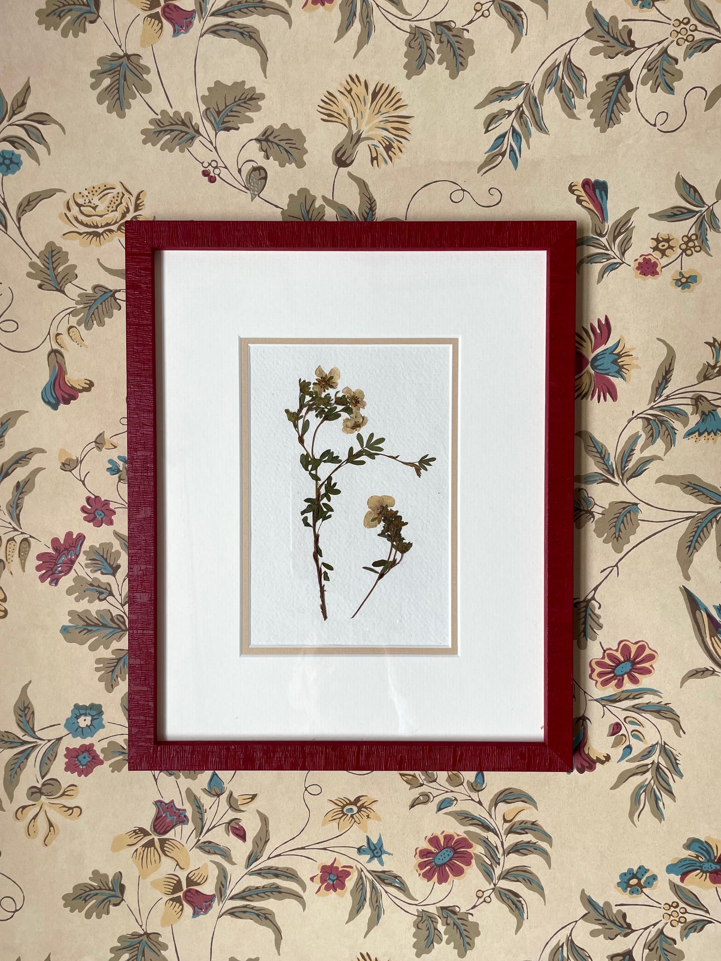 Clove at Home, ‘English Garden Pressings in Red 3’ 2024