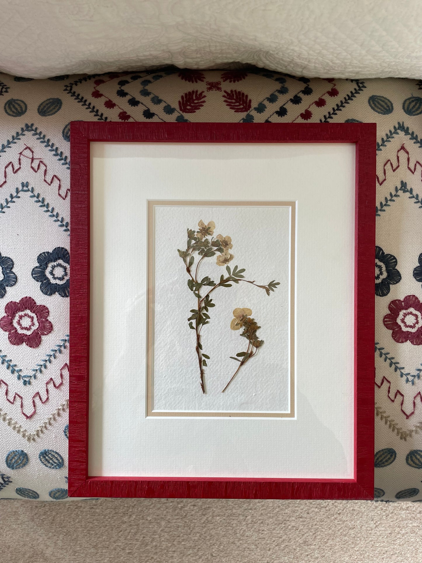 Clove at Home, ‘English Garden Pressings in Red 3’ 2024