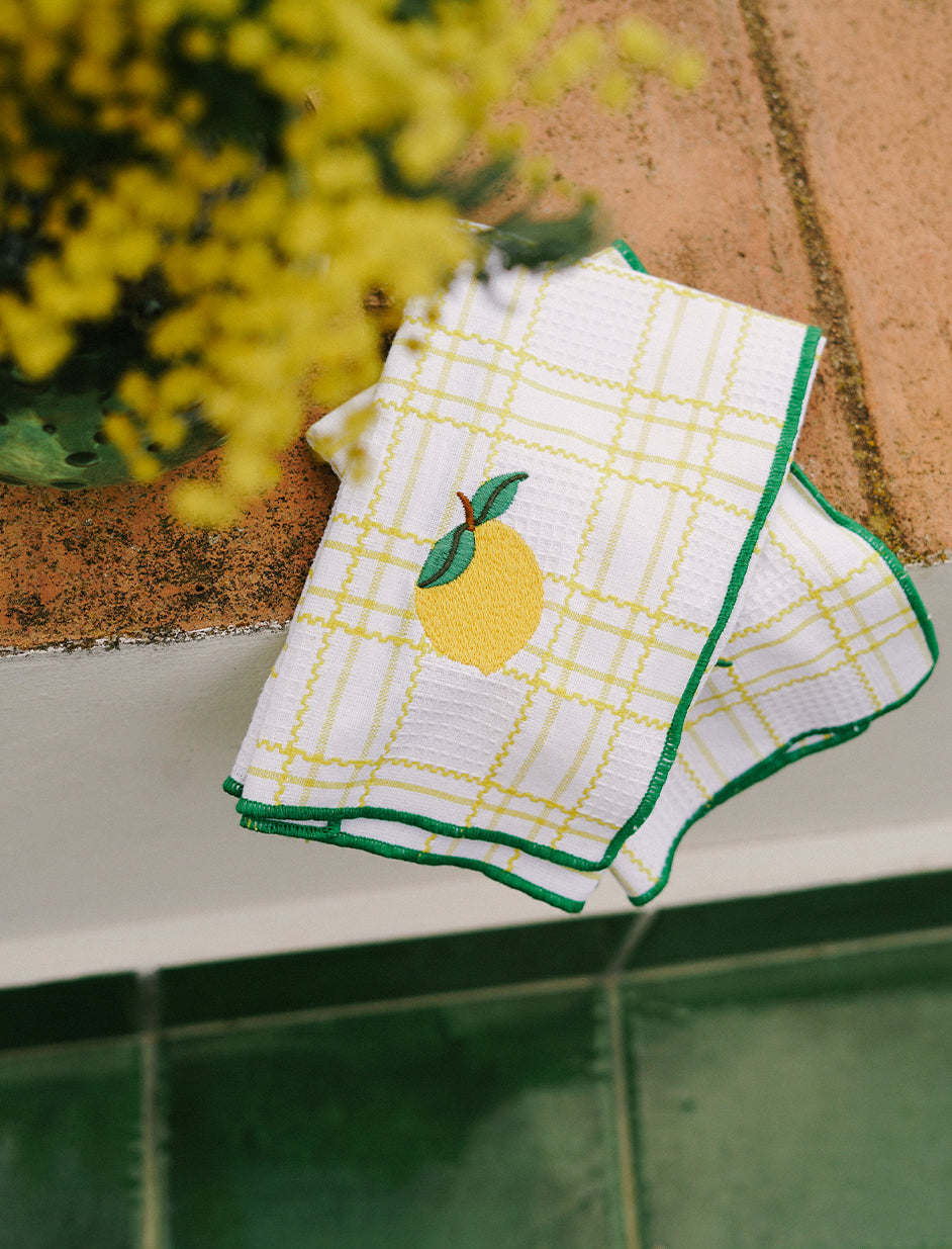 Yellow Embroidered Placemat in Yellow (Set of 2)