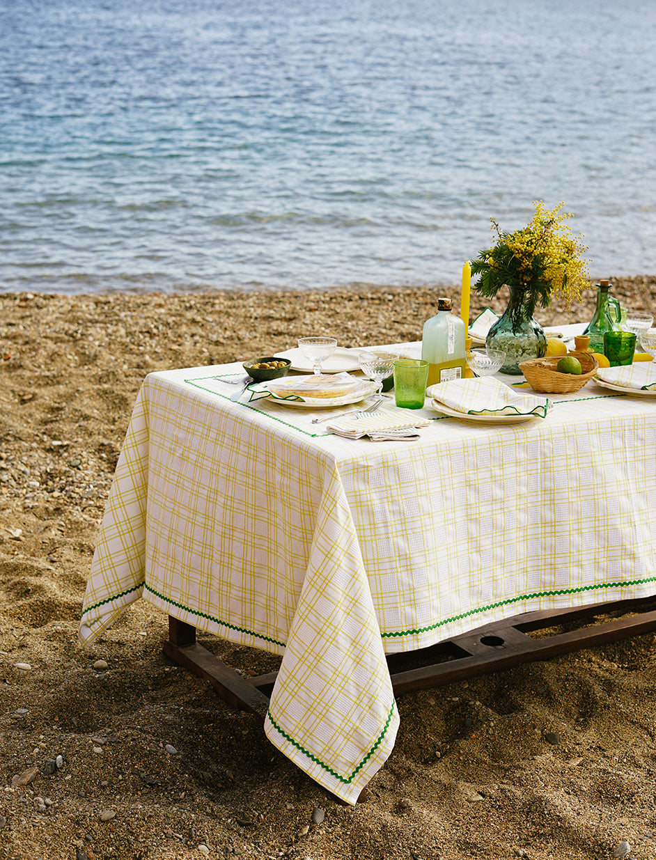 Yellow Embroidered Placemat in Yellow (Set of 2)