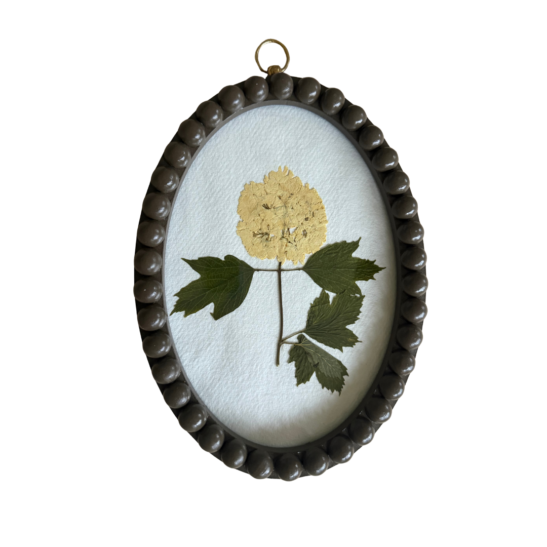 Fiona McDougall, Pressed Flower