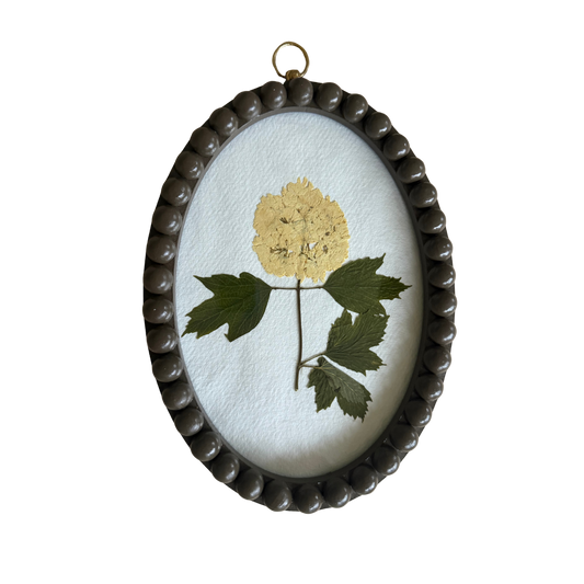 Fiona McDougall, Pressed Flower