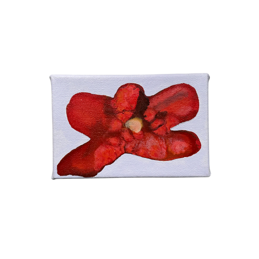 Liat Greenberg, 'Petite fleur VI' 2026