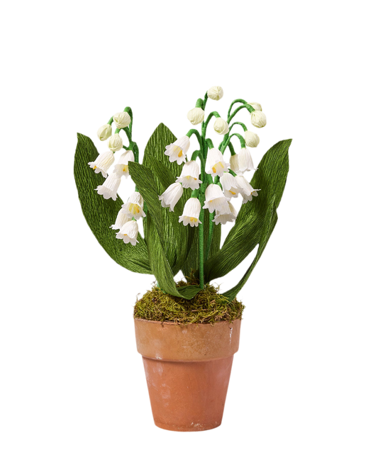 Blooms by Beam Paper Lily of the Valley