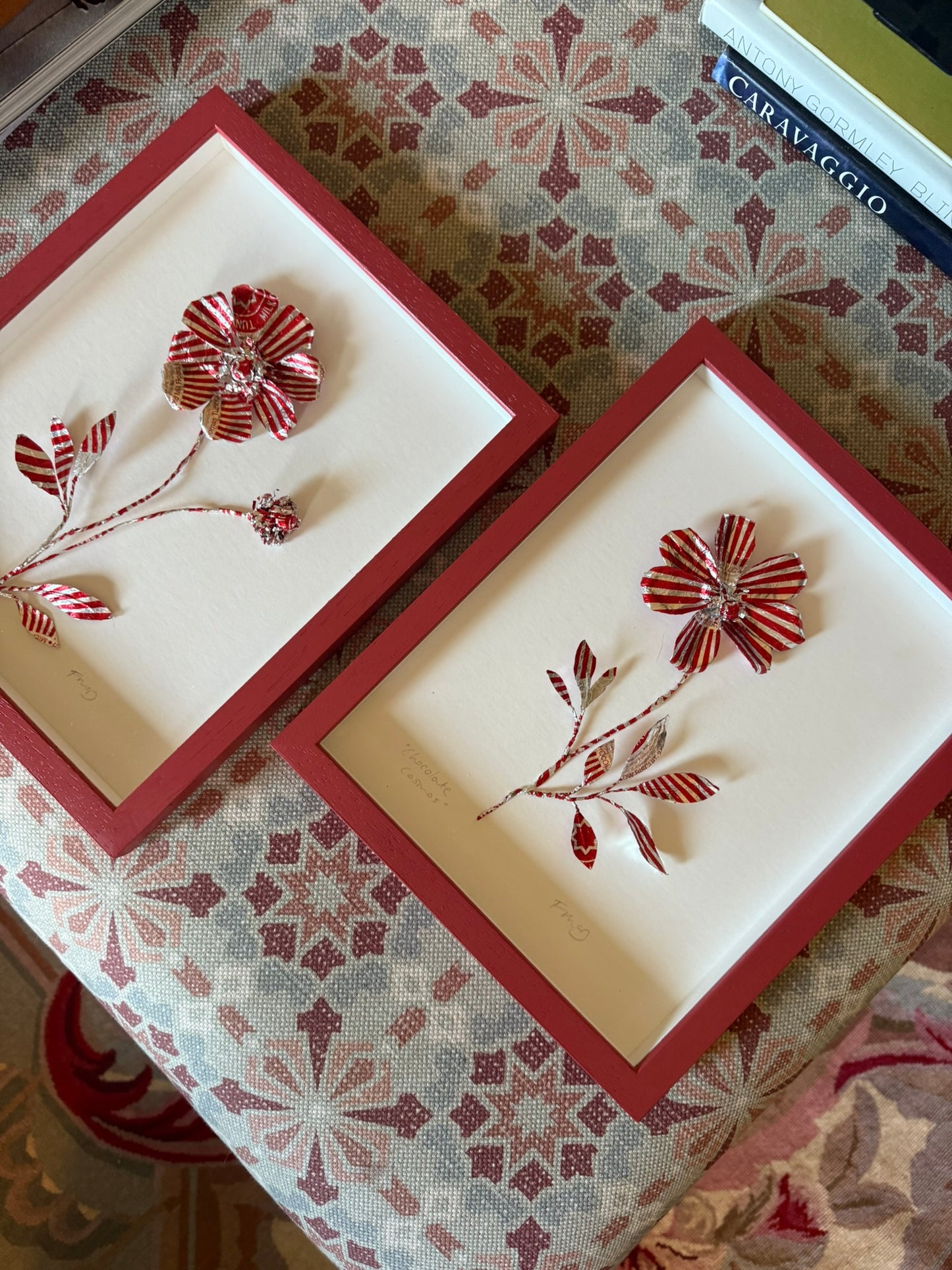 Fiona McDougall, 'Chocolate Cosmos II' 2025