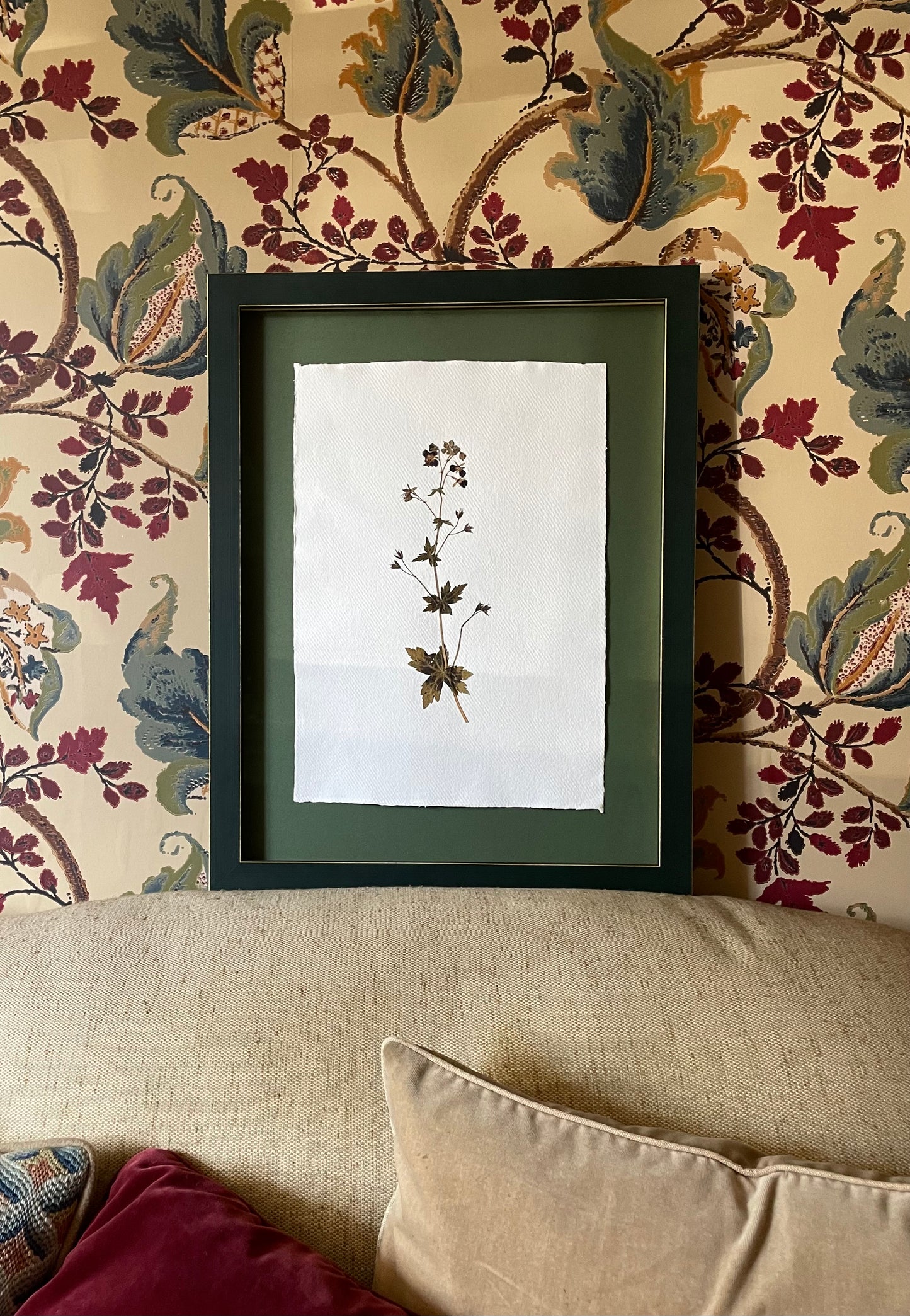 Clove at Home, ‘Large Pressed Clematis in Deep Green’ 2024