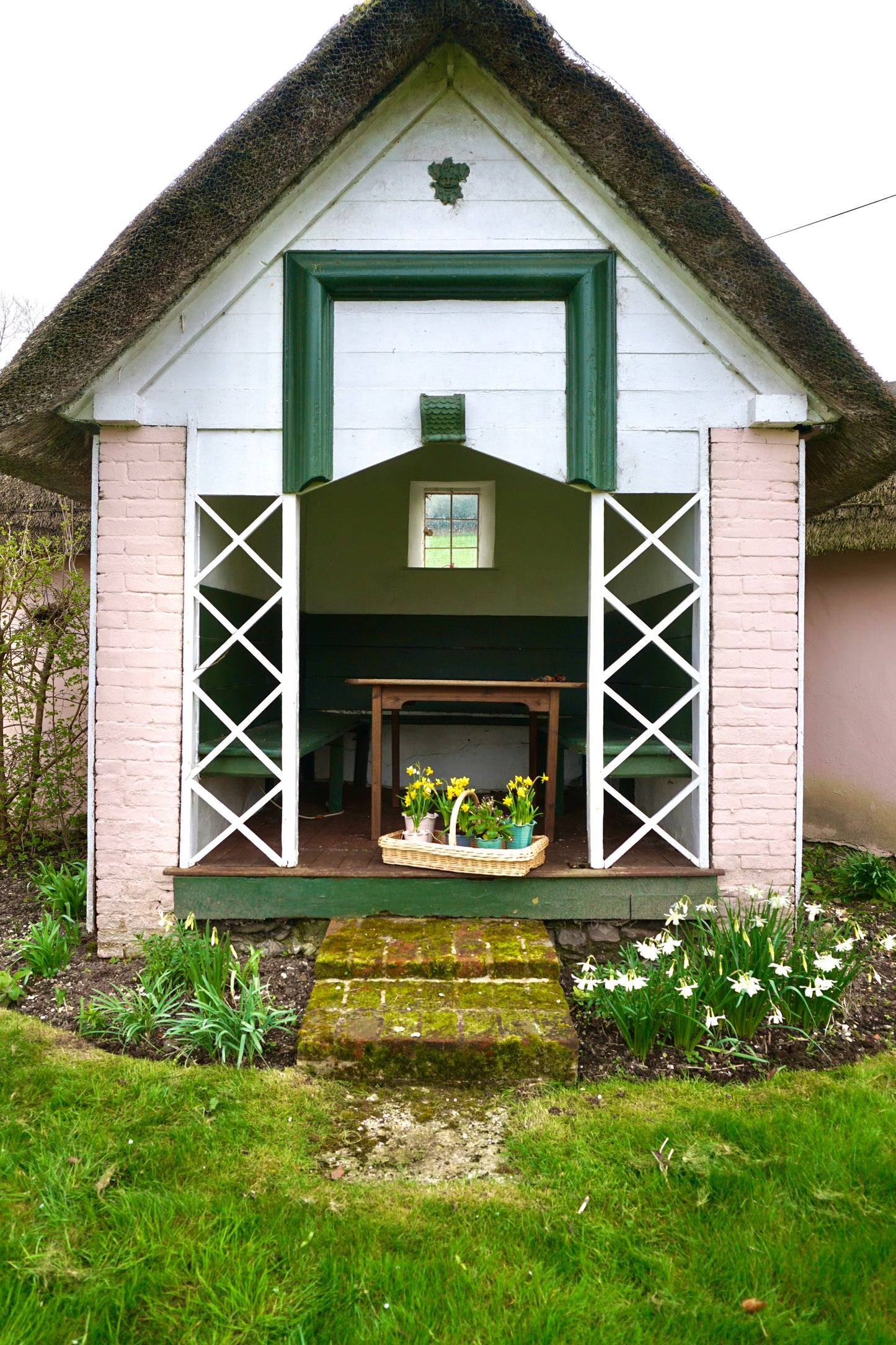 Domenica Marland x Paige Mitchell, Large Plant Pot in Pink or Green
