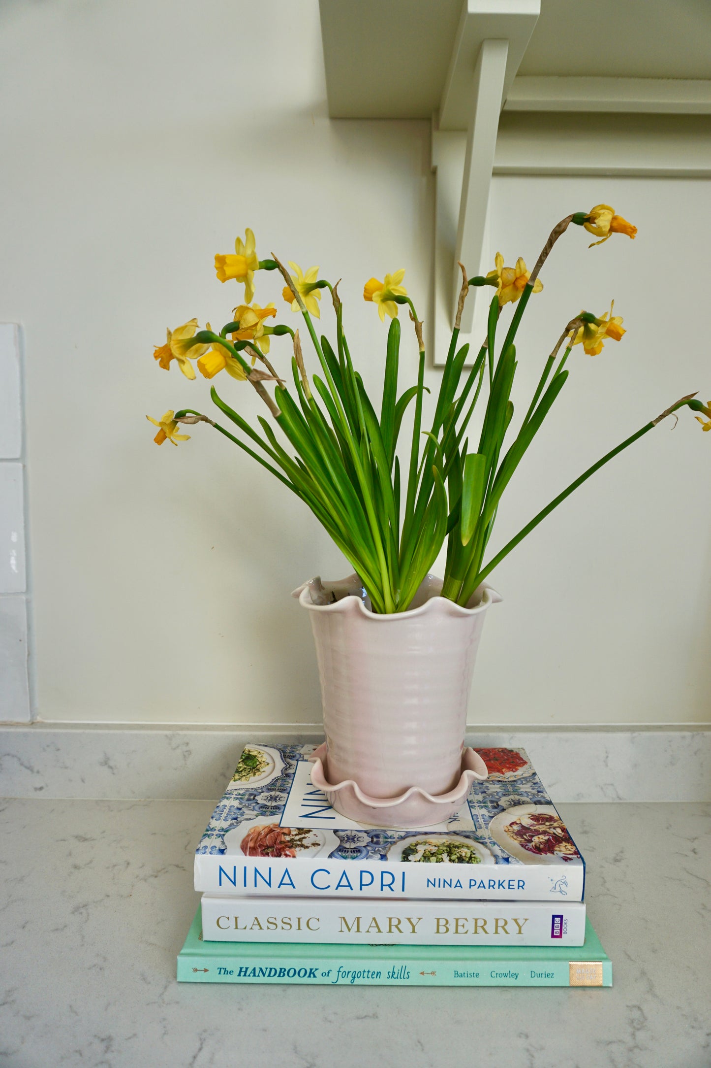 Domenica Marland x Paige Mitchell, Large Plant Pot in Pink or Green