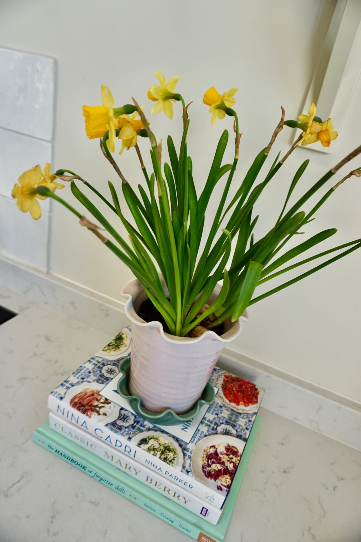 Domenica Marland x Paige Mitchell, Small Plant Pot in Pink or Green