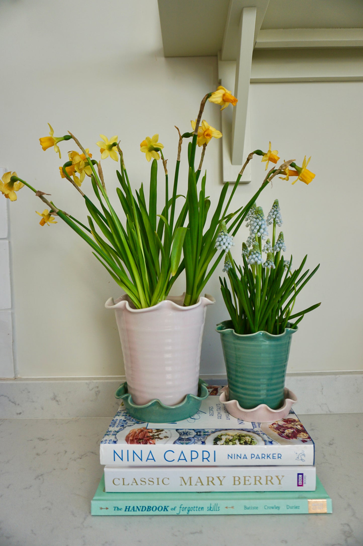Domenica Marland x Paige Mitchell, Small Plant Pot in Pink or Green