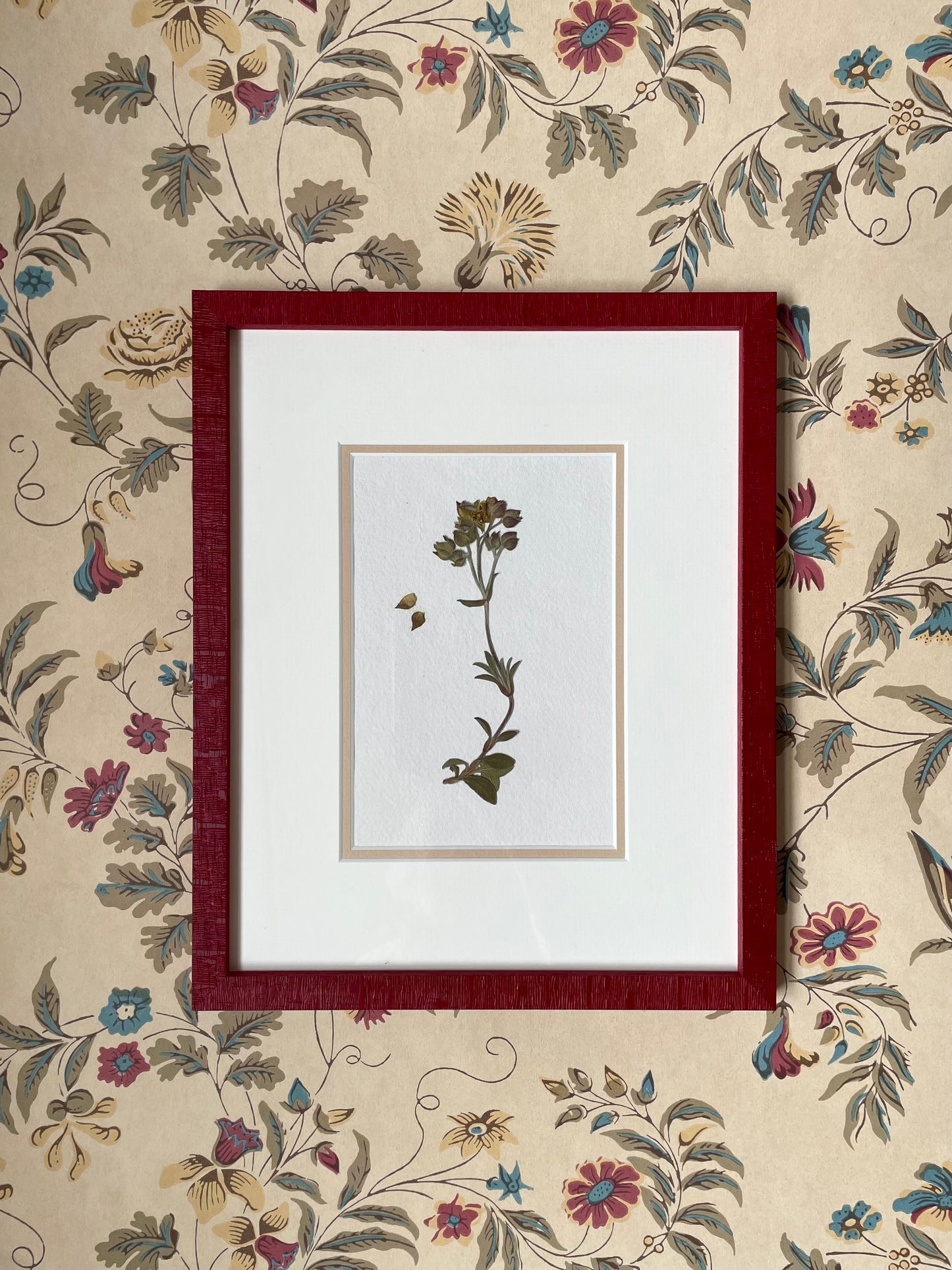 Clove at Home, ‘English Garden Pressings in Red 4’ 2024