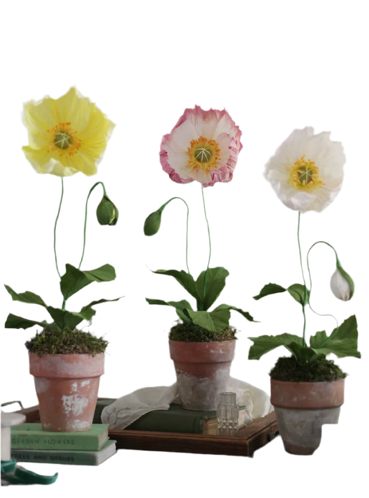 Blooms by Beam Paper Poppy Flowers