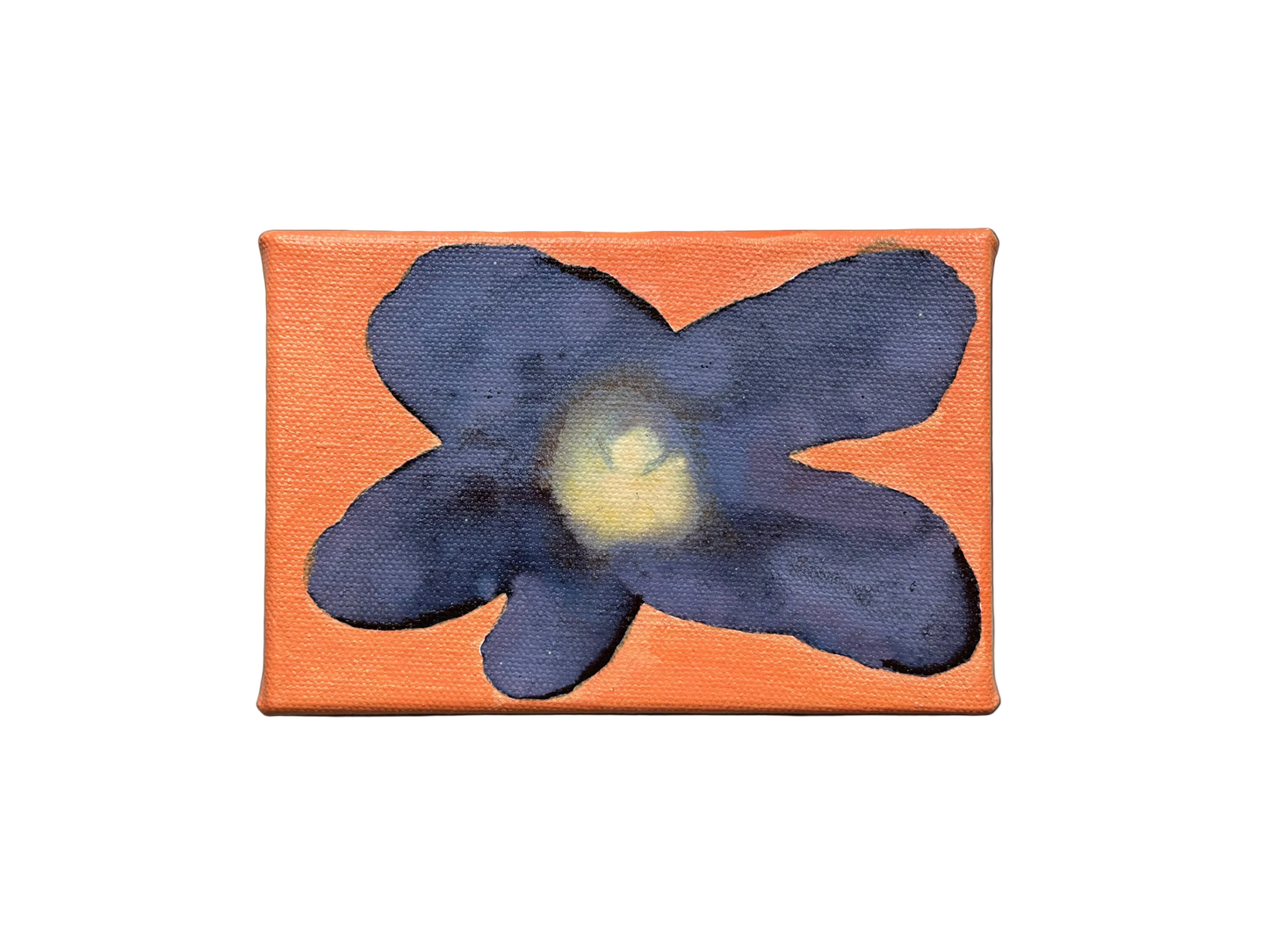 Liat Greenberg, 'Petite fleur I' 2026