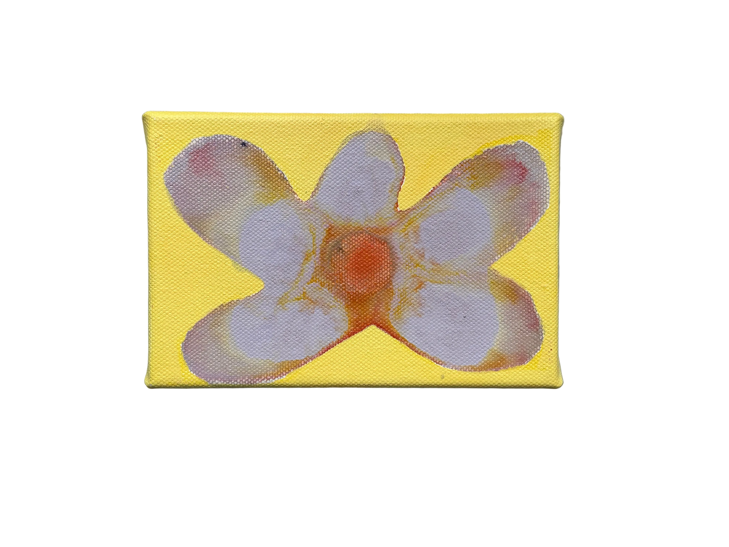 Liat Greenberg, 'Petite fleur II' 2026