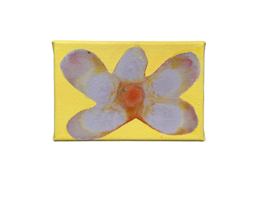 Liat Greenberg, 'Petite fleur II' 2026