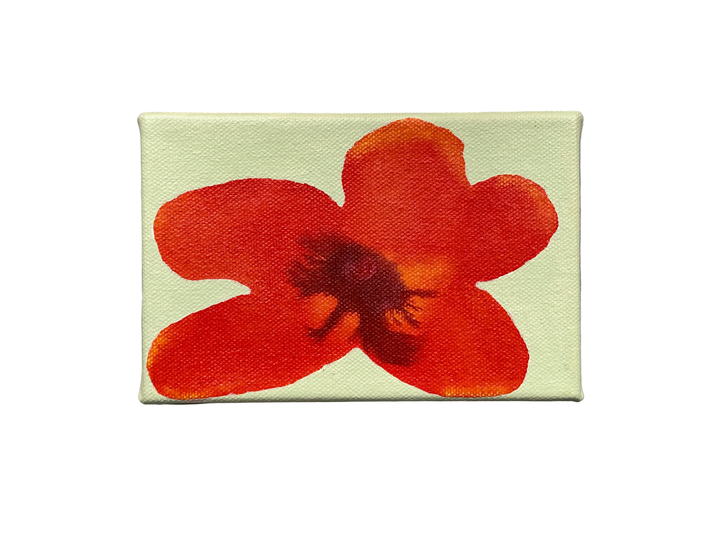 Liat Greenberg, 'Petite fleur V' 2026
