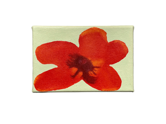 Liat Greenberg, 'Petite fleur V' 2026