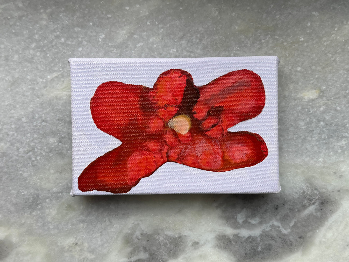 Liat Greenberg, 'Petite fleur VI' 2026