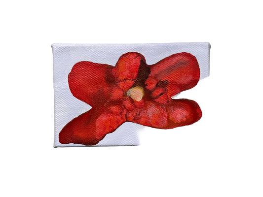 Liat Greenberg, 'Petite fleur VI' 2026