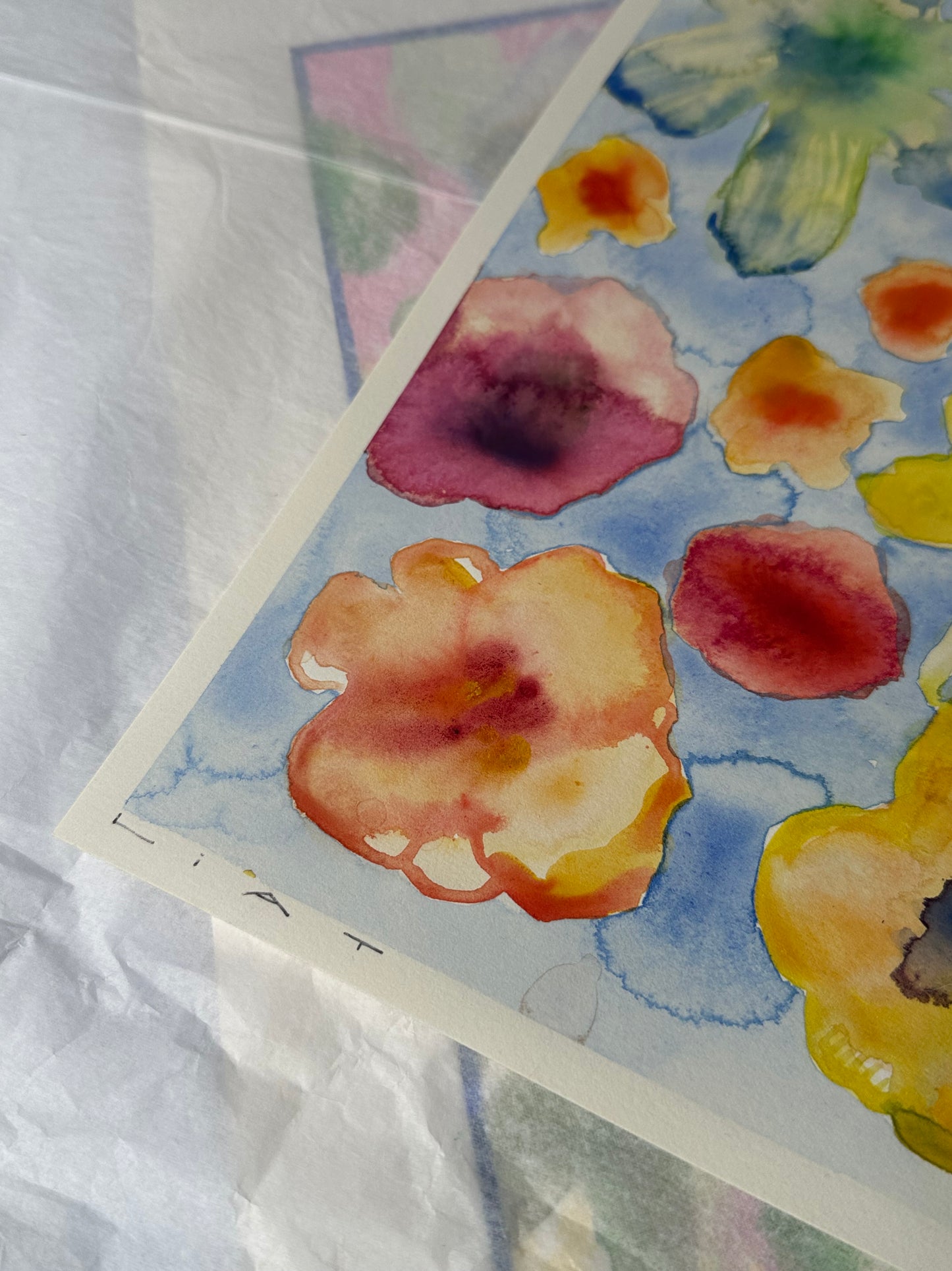 Liat Greenberg, 'Floating Flowers'