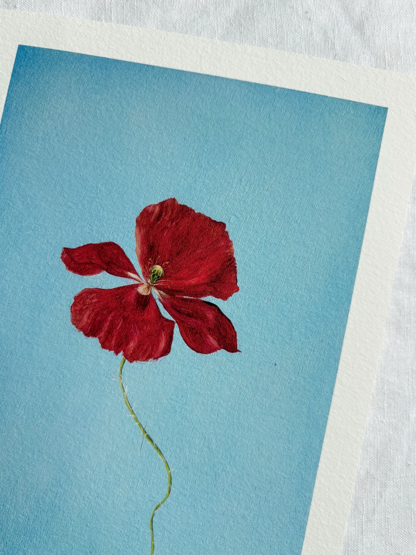 Jasmyn Fraser ‘Poppy print'