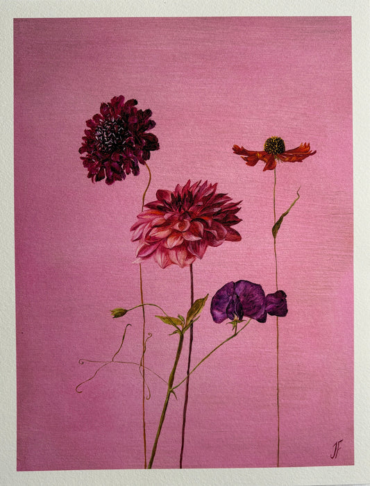 Jasmyn Fraser ‘Dahlia and sweet pea'