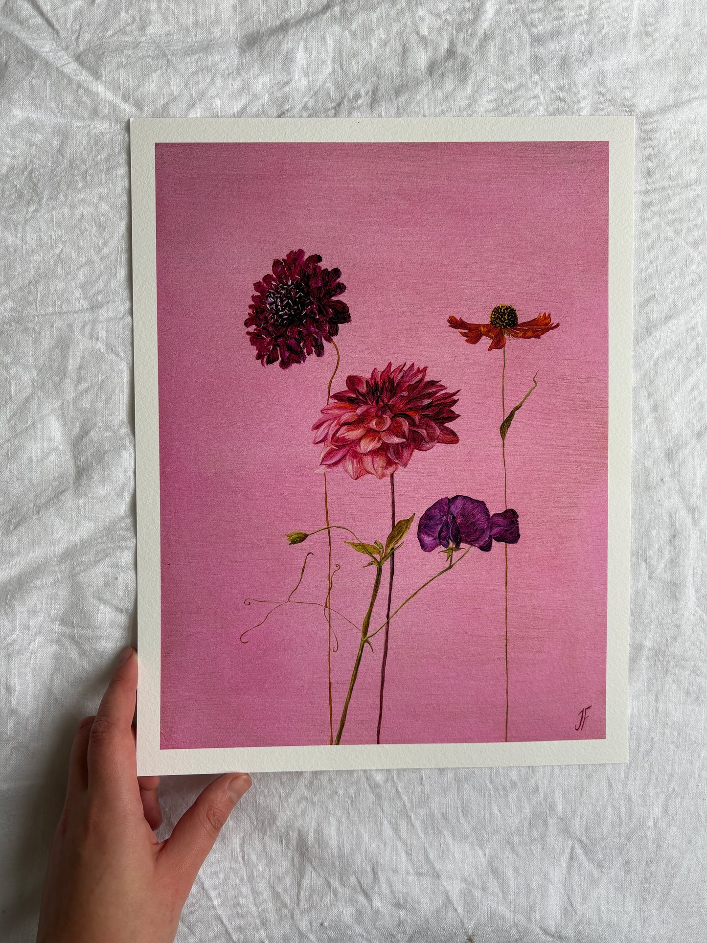 Jasmyn Fraser ‘Dahlia and sweet pea'