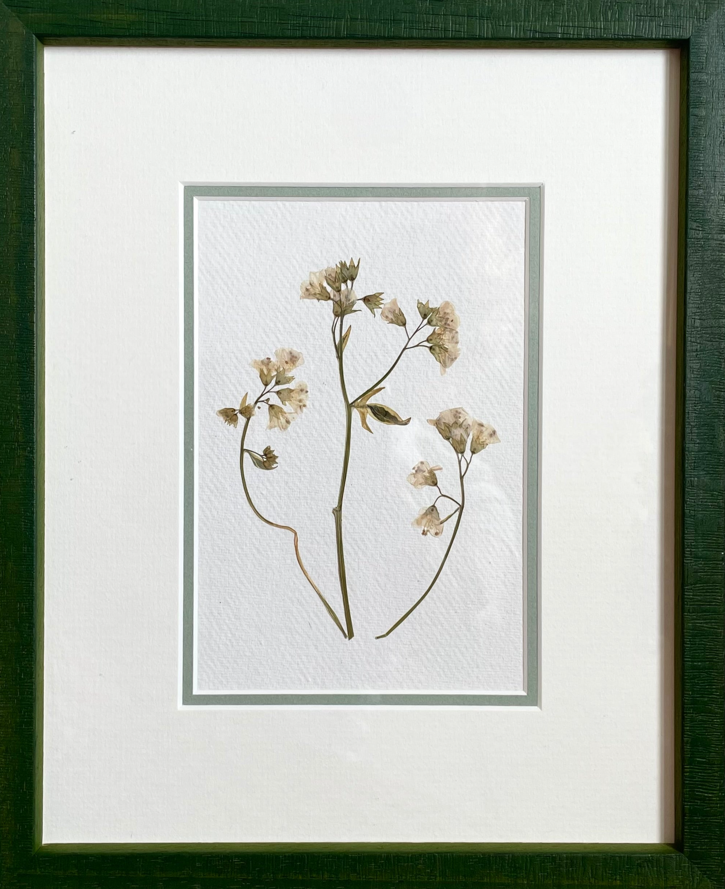 Clove at Home, ‘Botanical Pressing in Green IV' 2024