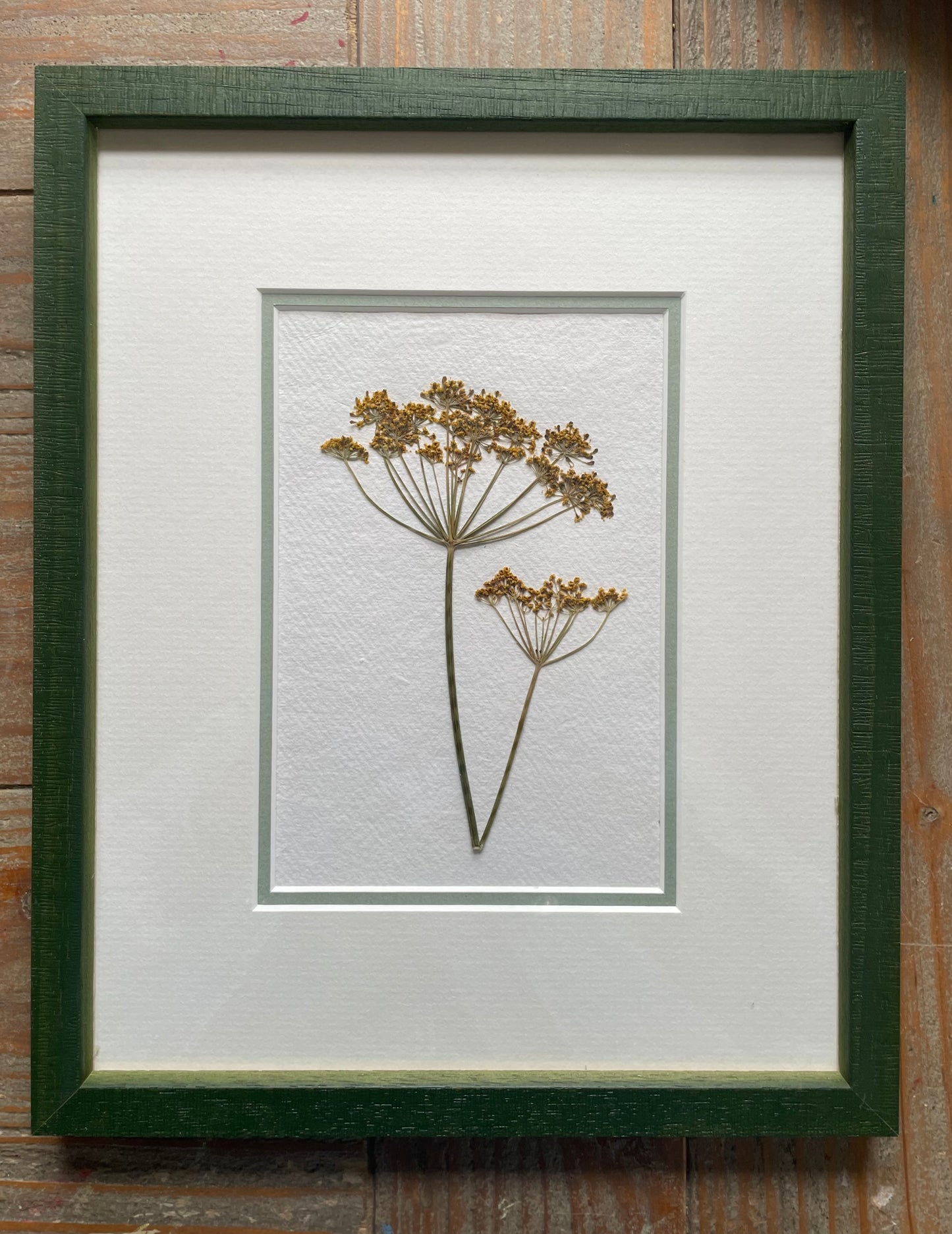 Clove at Home, ‘Pressed Dill in Green Frame' 2024