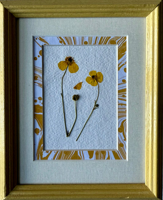 Clove at Home, ‘Pressed Buttercup with Marbled Yellow I' 2024