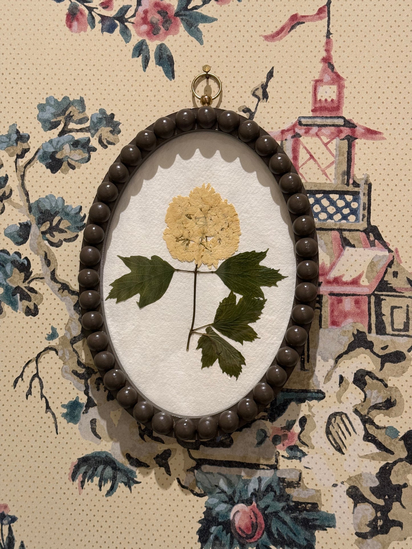 Fiona McDougall, Pressed Flower