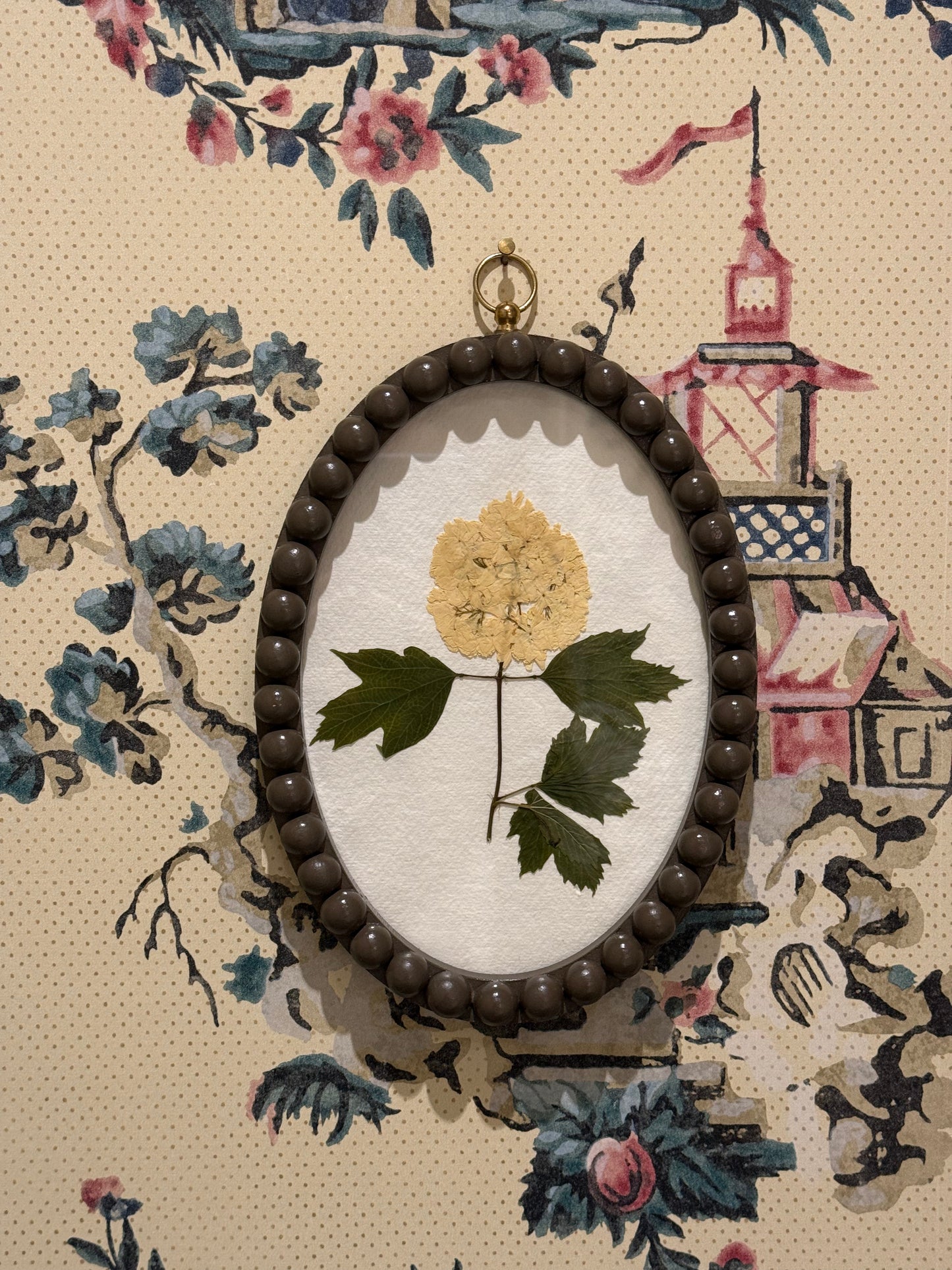 Fiona McDougall, Pressed Flower