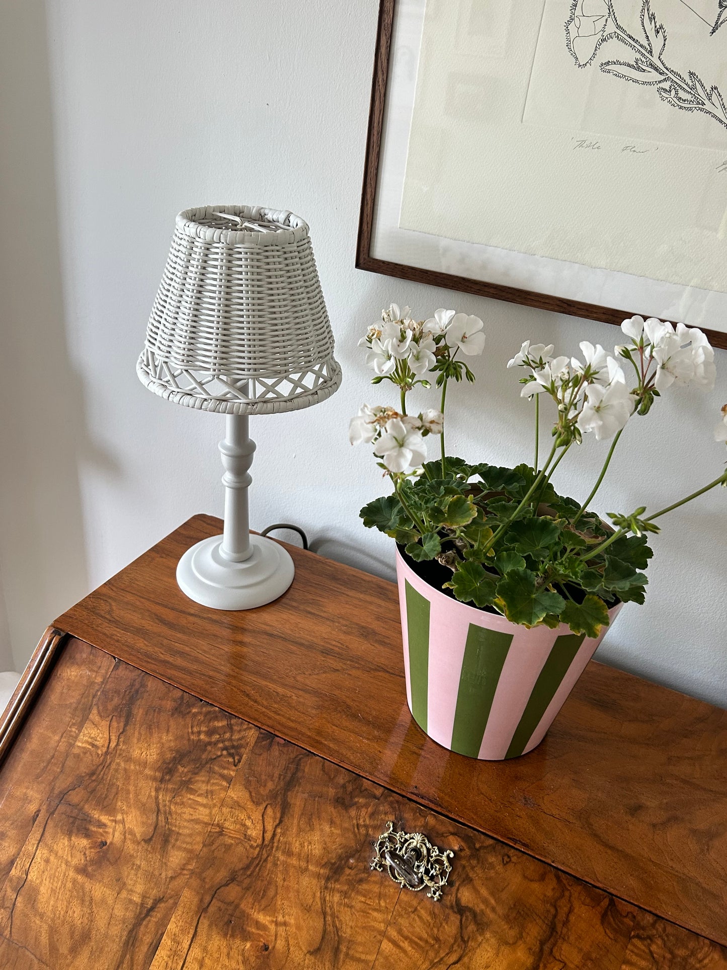 The Penny Planter in Pink and Green Stripe